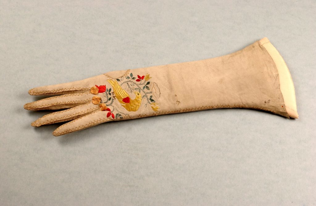 Womenswear long glove