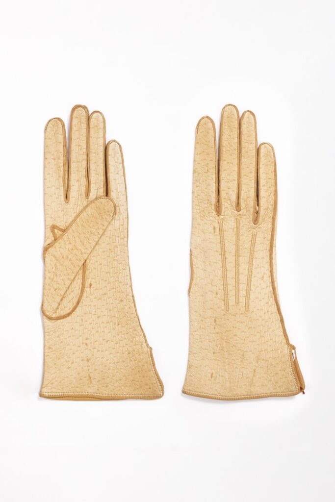 Womenswear glovesShort Title for Glove